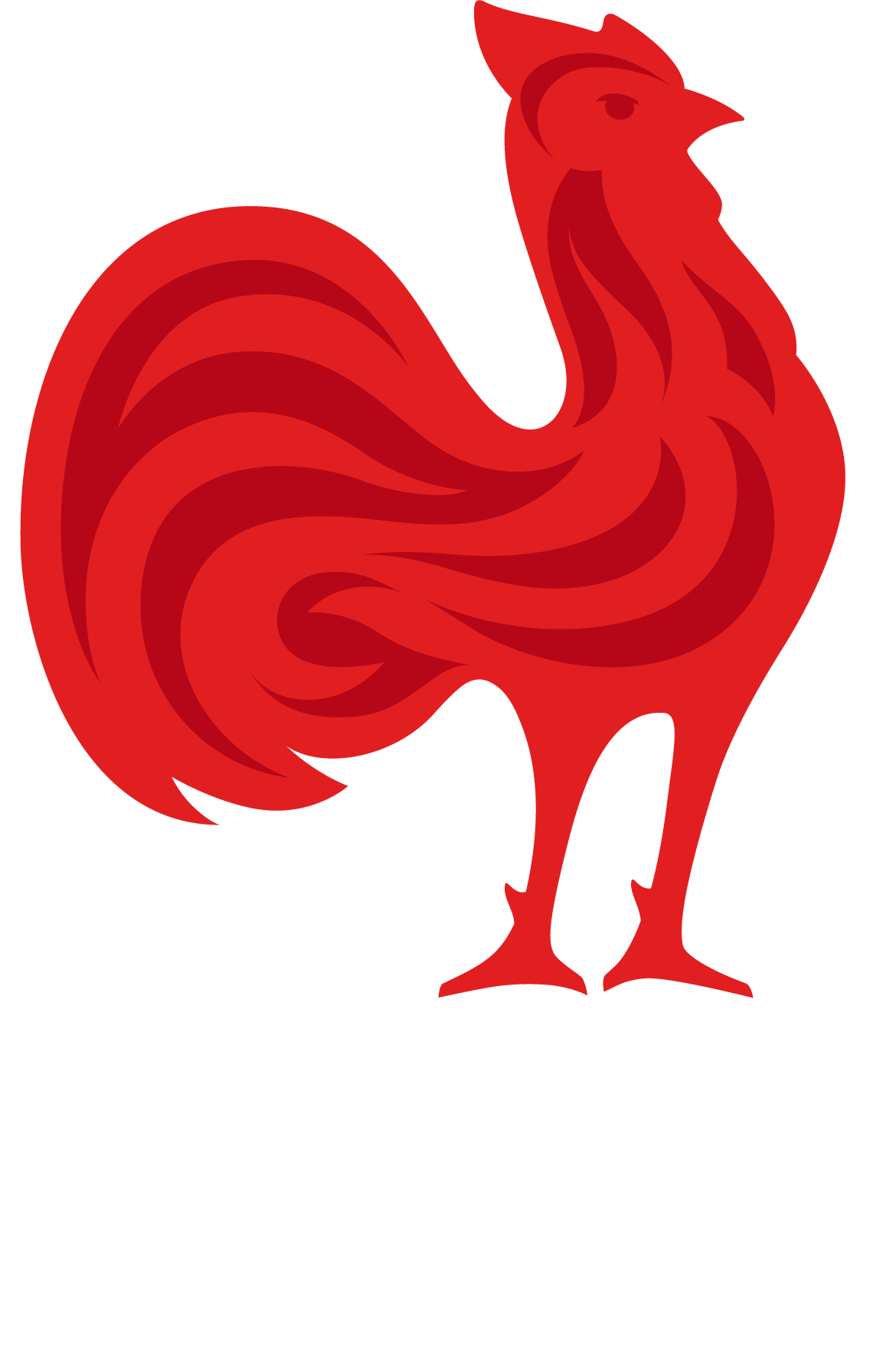 FFR (Fédération Française de Rugby)